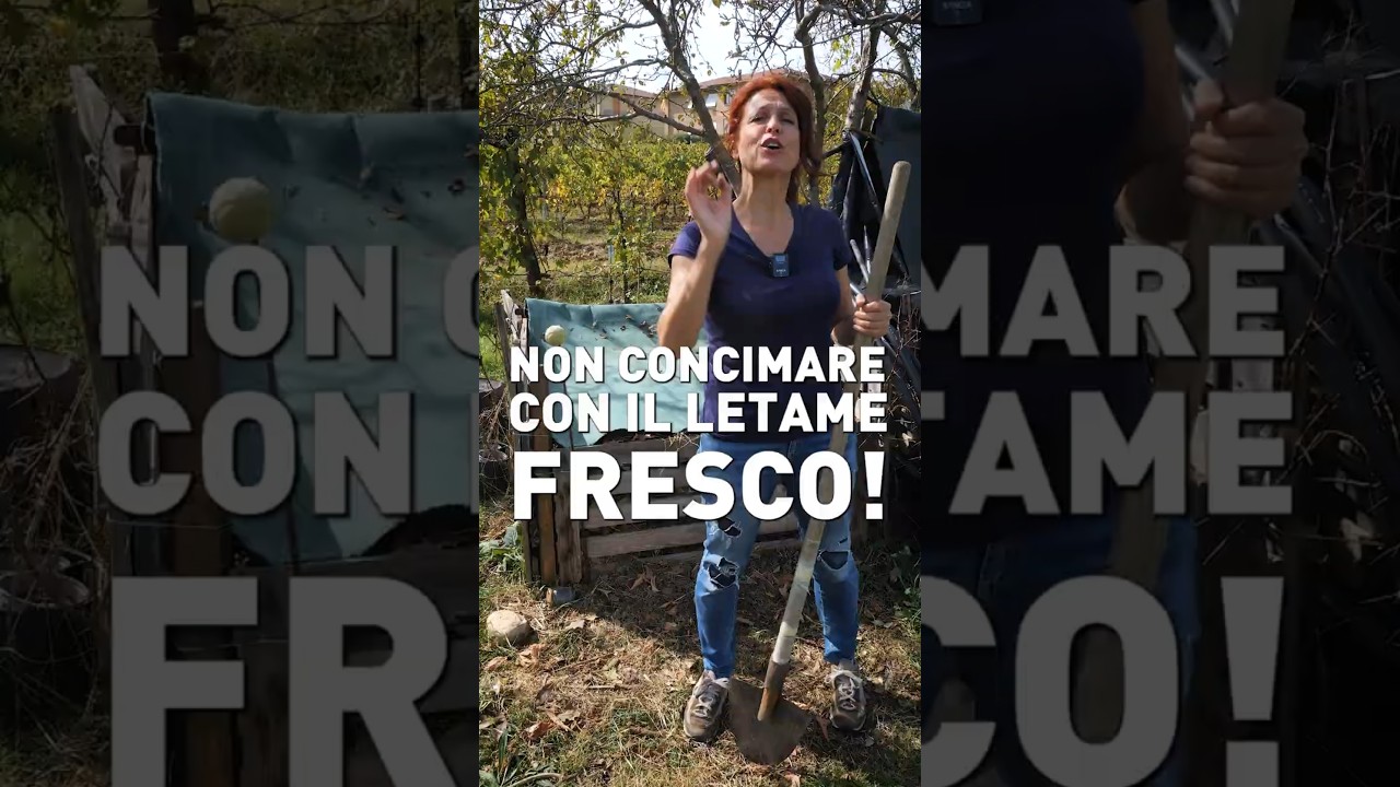 Attento! Non concimare con letame NON maturo