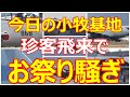 今日の小牧基地は珍客飛来でお祭り騒ぎ!!