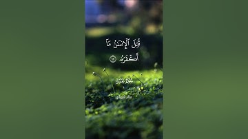 سورة عبس كاملة - القارئ سالم الرويلي🌿🧡.