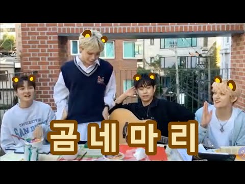 루시 LUCY | 곰 네마리