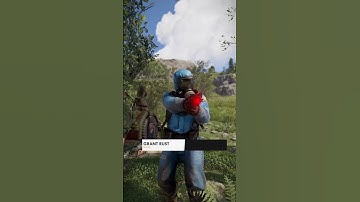 скачать Grant Rust можно у меня в профиле #rust #memes #devblog #grantrust_248 #мем