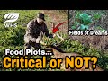 Why You Don't Need Food Plots For Deer