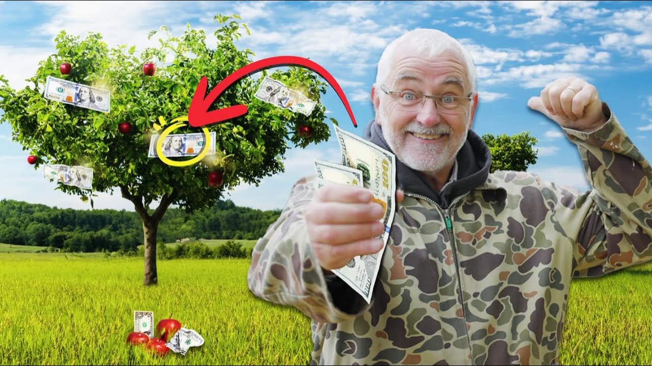 SPEND 80% LESS TIME maintaining your Permaculture Orchard IF you get THIS RIGHT!