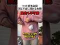 ペット好き必見常にそばに入れる衣類のサムネイル