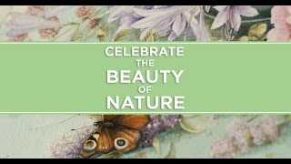 Insights with Natures Sketchbook Artist Marjolein Bastin
