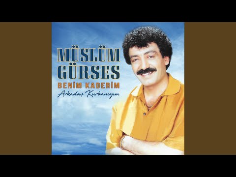 Senin Gibiler