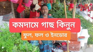 🪴কমদামে ফুল, ফল ও ইনডোর গাছের দাম জানুন। 🌵Tree Price In Mirpur, Bangladesh