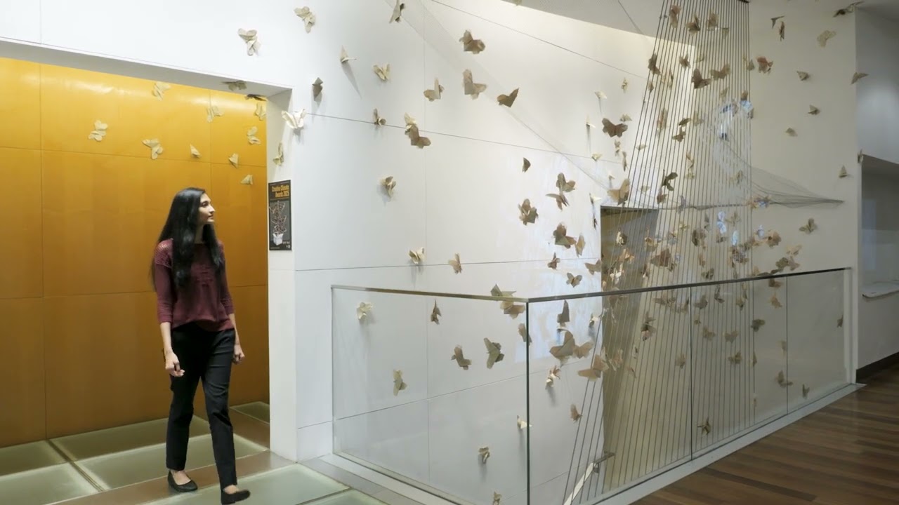 2025 Creative Climate Awards