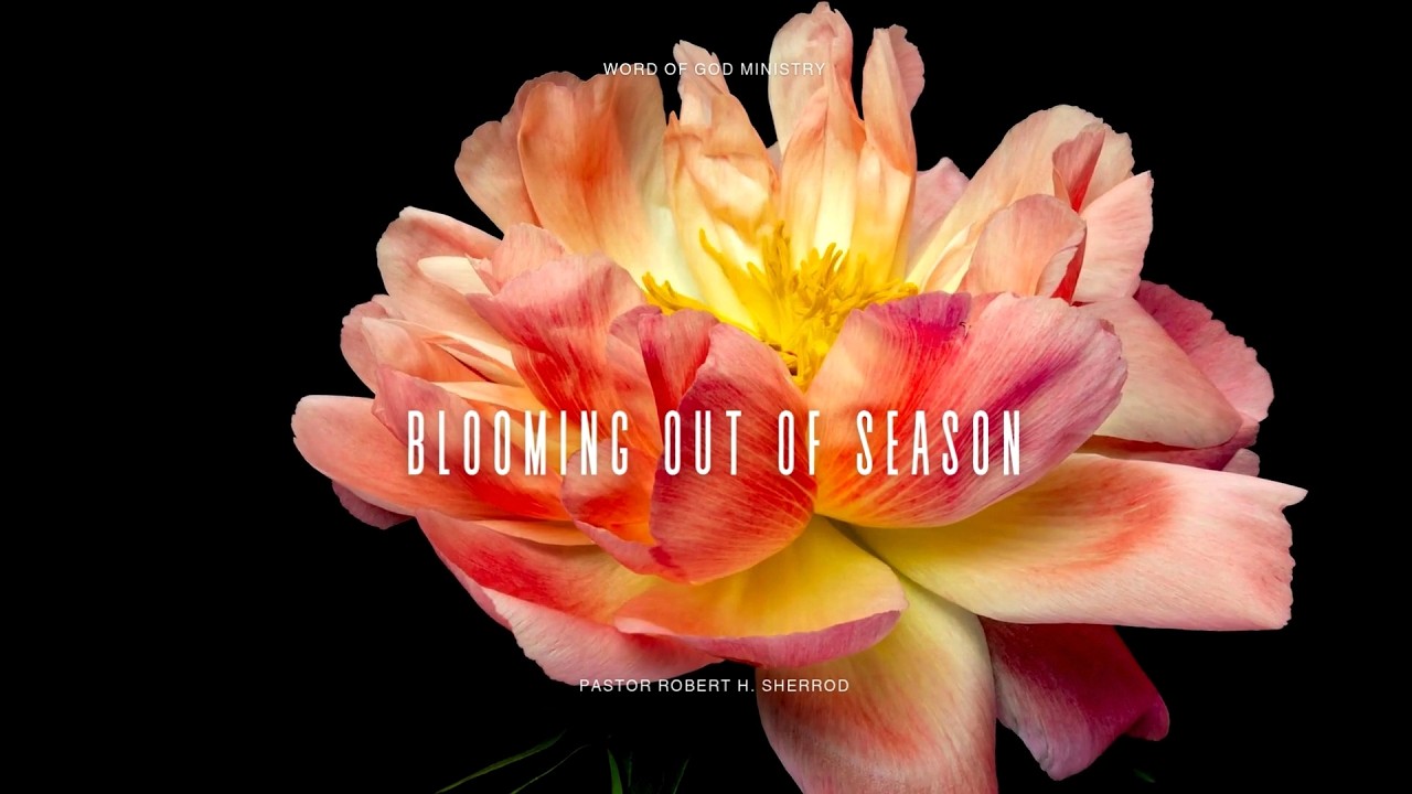 BLOOMING OUT OF SEASON | Pastor Robert Sherrod | Word of God Ministry