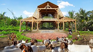 Brilliant Ideas for Successful Freerange Farming  How I Built the Most Profitable FreeRange Farm!