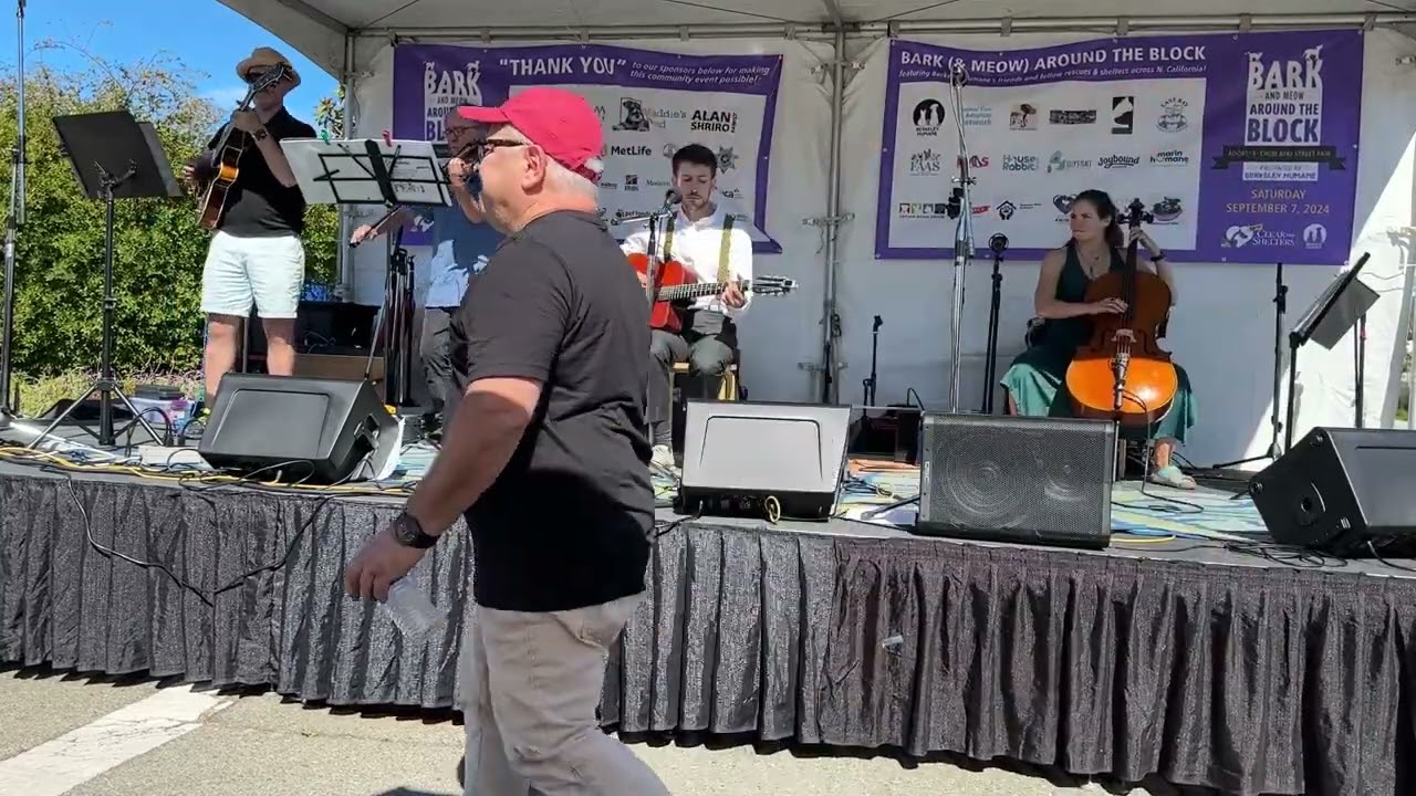 The Hot Chocolate Club: Bossa Dorado