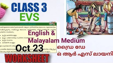 Class 3 Evs Worksheet October 23/Itsvicters Worksheet/ Teaching Corner By Safna