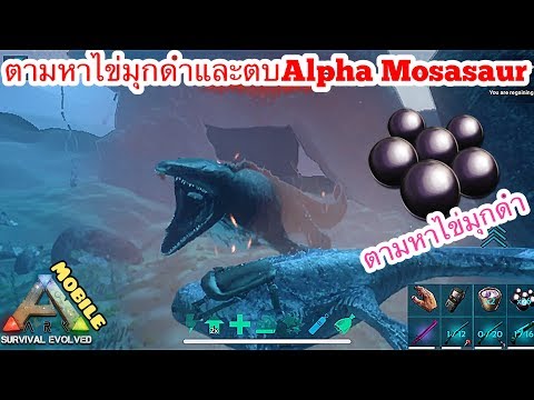 Ark Mobile มือถือ EP66 ตามหาไข่มุกดำและตบอัลฟ่าโมซากัน[How To Get BLACK PEARLS & ALPHA Mosasaur]