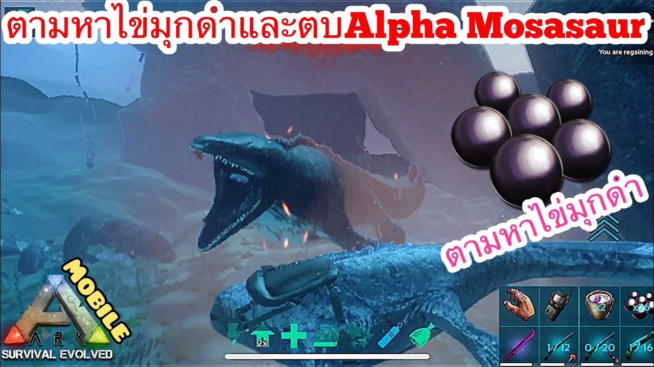 Ark Mobile มือถือ EP66 ตามหาไข่มุกดำและตบอัลฟ่าโมซากัน[How To Get BLACK ...