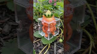 #fruitshaper #aicreativity #shapeshift #oddlysatisfying #aiart #fruitdesign #viralshorts