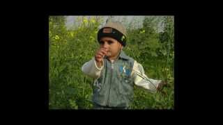 New Saraiki Songs Saingi Poet Jamshaid Nashad Singer Haq Nawaz Boodvi
