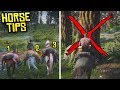 Red Dead Redemption 2 - 7 Things You NEED to Know About Your Horse Red Dead Redemption 2 - 7 Things You NEED to Know About Your Horse