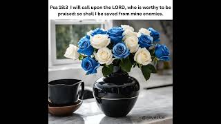 Good Thursday Morning January 2, 2025