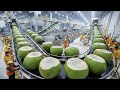 How Coconut Oil Is Made (Full Factory Process)