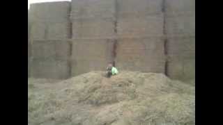 idiot jumps off haystack