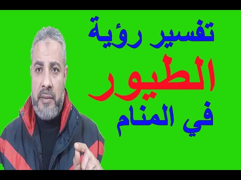 فيديو: لماذا تحلم الطيور في الحلم