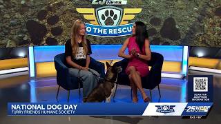 WPBF to the Rescue: Helping animals find forever homes