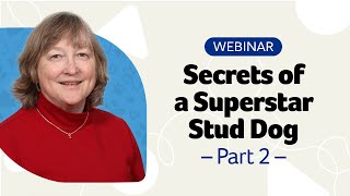 Secrets of a Superstar Stud Dog Webinar Part 2