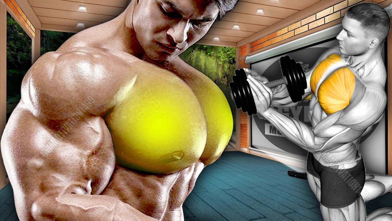 12 популярных упражнений с гантелями для большой груди