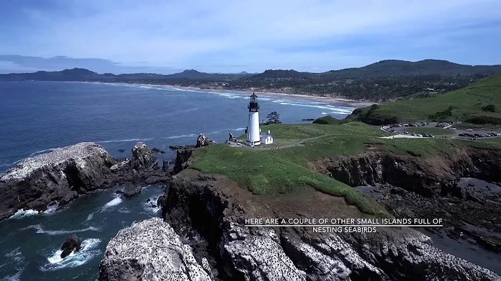 Aerial Tour | Yaquina Head Lighthouse | Whale Watching | Oregon Coast | Drone Video