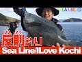 【釣れないから水中を覗くとすげ〜事に!】水中カメラ入れて釣るのあり?【シーライン釣果ノート60】Ocean fishing