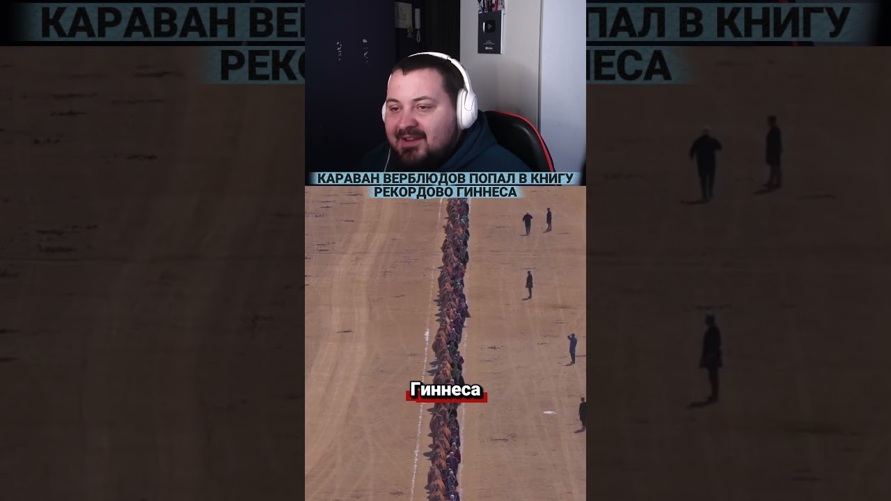 Этот караван верблюдов попал в Книгу рекордов Гиннесса!