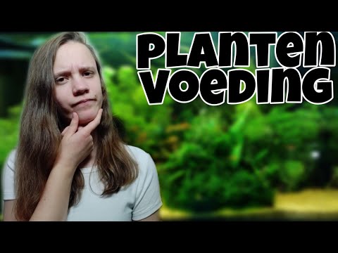 Is plantenvoeding NODIG in jouw aquarium? ALLES dat je moet weten! //Nickey//