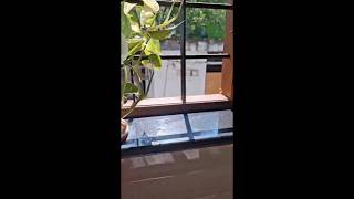 sunday vlog