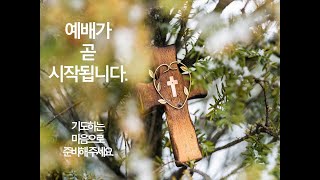 [Live] 향상교회 사랑부12월 25일 예배 영상입니다