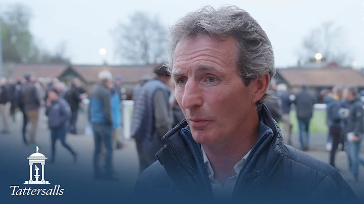 Tattersalls Craven Breeze Up Sale 2022 Day 1 Review