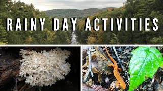 Rainy Day Activities in Nature for Kids and Adults