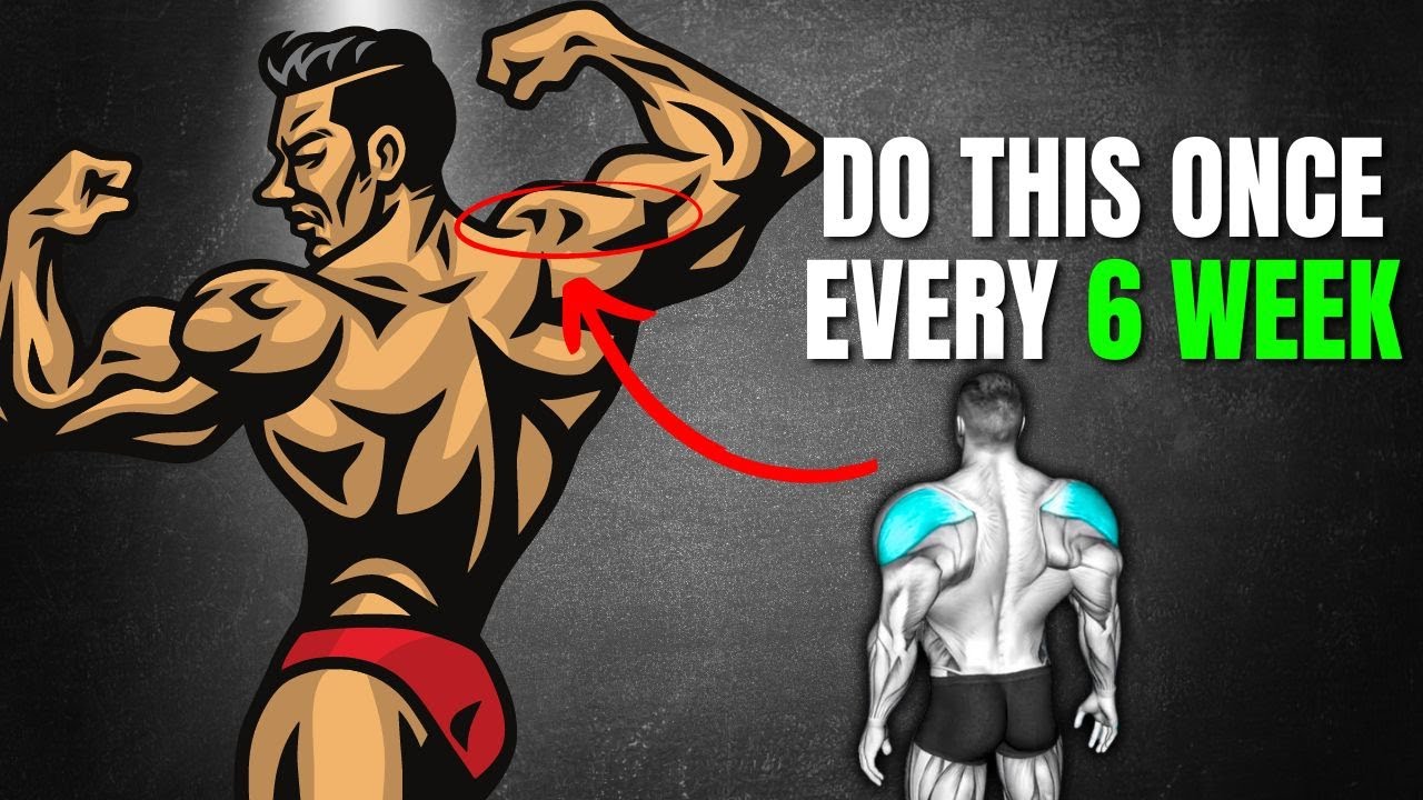 5 steps to develop posterior deltoids quickly - YouTube
