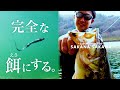 【バス釣り】サカナ サカナ 3.8in / 見えバスを「驚異的に釣る」為のセッティング【AK◆BOX】