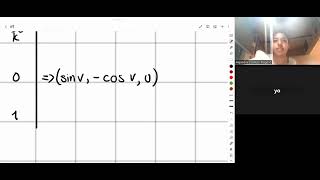 Surface Integrals (improved version )