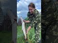 ЩУКА ИСПОЛНЯЕТ ЖЕЛАНИЯ! КАК В СКАЗКЕ!