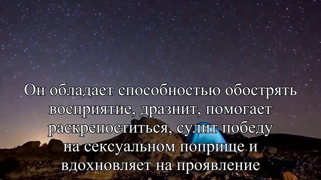 Что его возбуждает Афродизиаки для мужчин — Статья