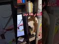لمن تستعين في قطوس ليطفئ الشاشة دبلجة مضحكة اكسبلور دوبلاج السعودية Mr Mahboob Shorts 