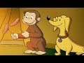 George O Curioso 🐵Acampando Com Hundley🐵 Episódio Completo 🐵 Desenhos Animados