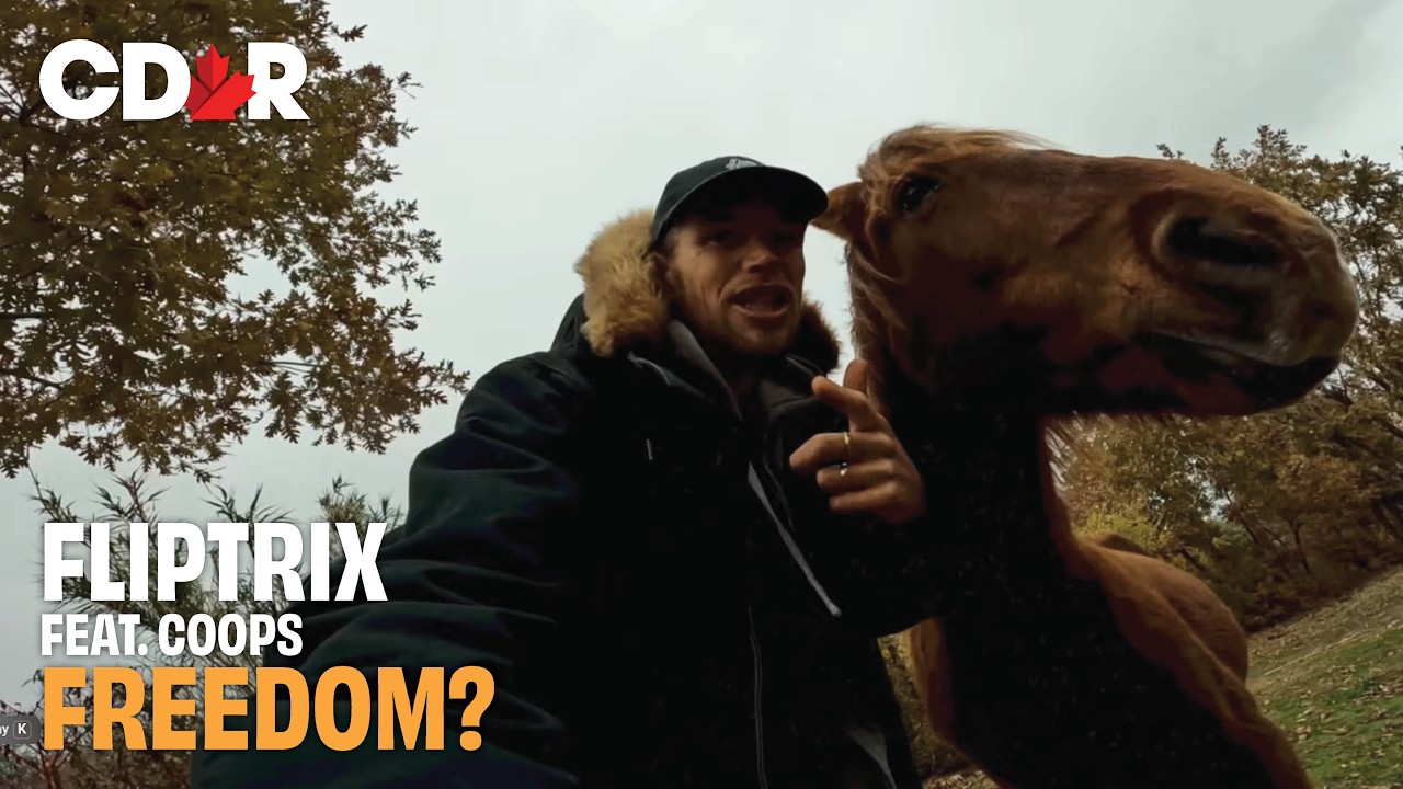 Fliptrix - Freedom? - Feat. Coops (UKHH Reaction)