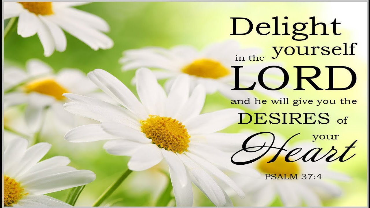 The Secret to Getting Your Heart’s Desire | Delight in the Lord | Psalm 37 | Dr. Matthew Webster