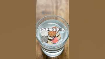 DIY Floating Coins Experiment: Exploring Buoyancy and Surface Tension