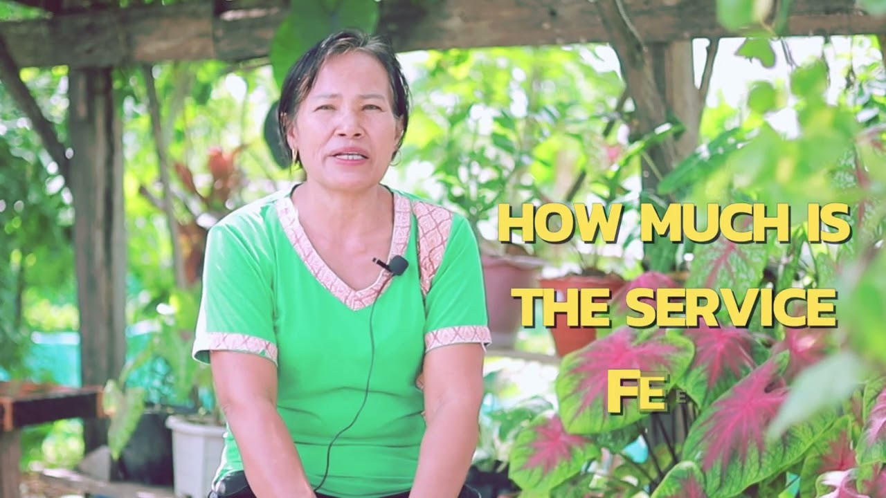 Professional Language “ภาษา เพื่ออาชีพ” Thai Massage 3 0min