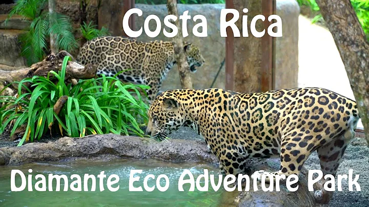 Diamante Eco Adventure Park - With founder Julian ...