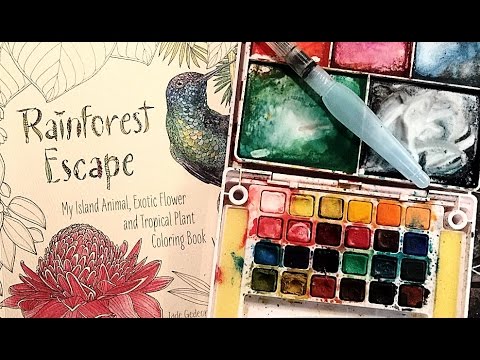 Magical Jungle Coloring with Watercolor Paints Johanna Basford