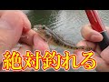 【簡単】7月ハゼ釣り「ほたてエサ」外れないように付けるコツ!